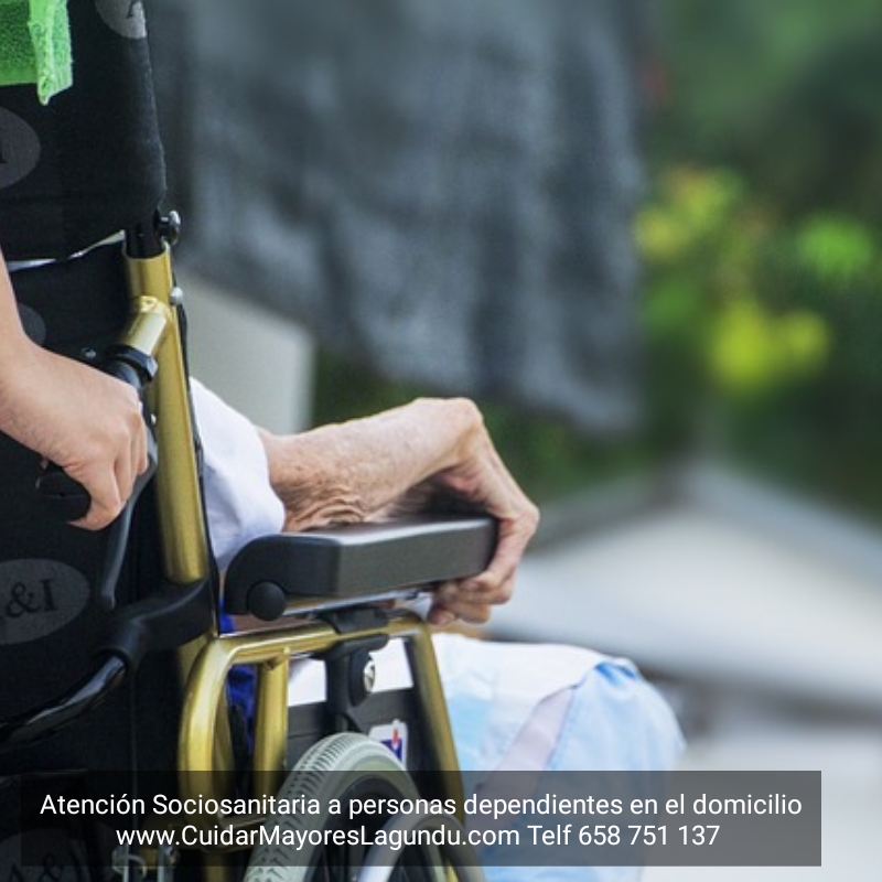 Atencion sociosanitaria a personas dependientes en el domicilio