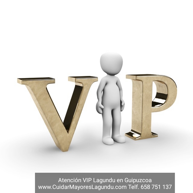 Atencion VIP Lagundu en Guipuzcoa Gipuzkoa