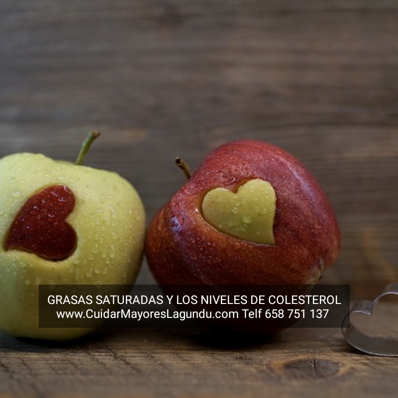 Grasas Saturadas y Los Niveles De Colesterol
