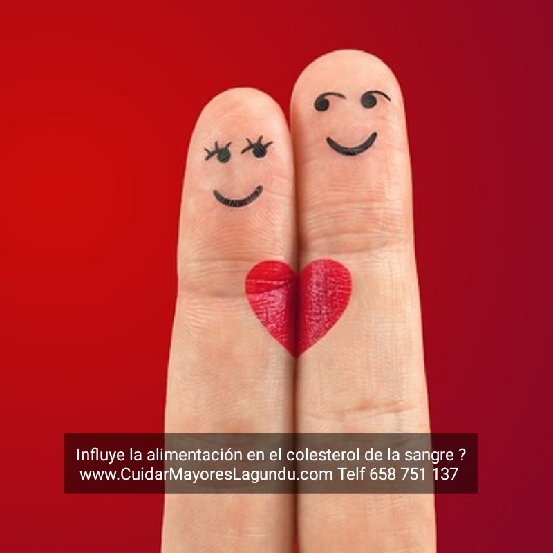 Influye La Alimentacion En El Colesterol De La Sangre ?
