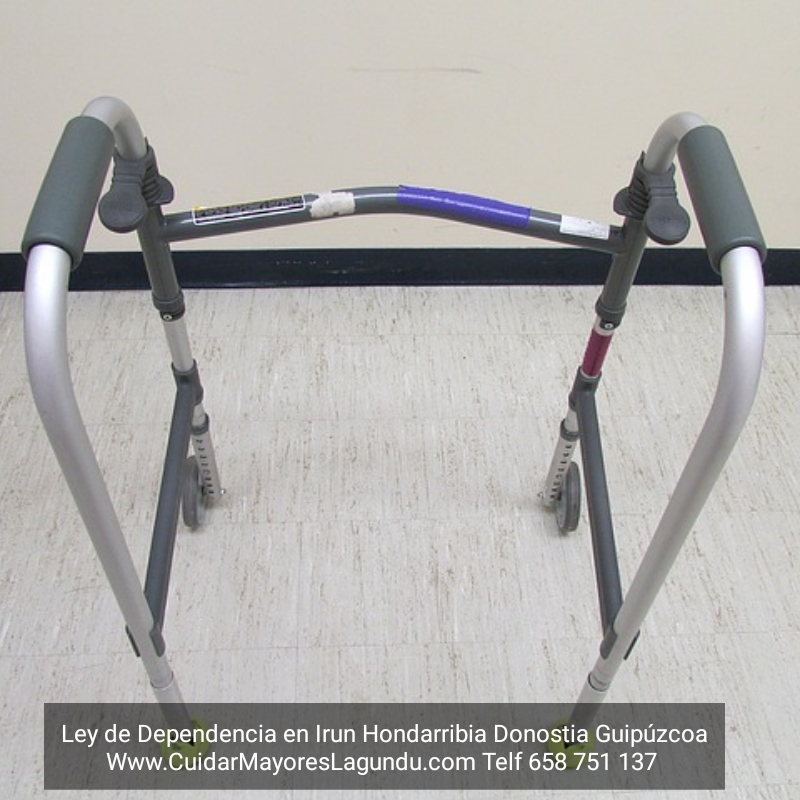 Ley de dependencia en Irun Hondarribia Donostia Guipuzcoa