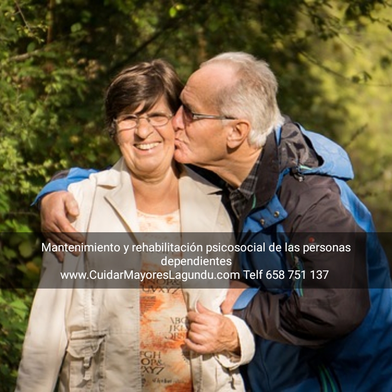 Mantenimiento y rehabilitacion psicosocial de las Personas Dependientes en Domicilio
