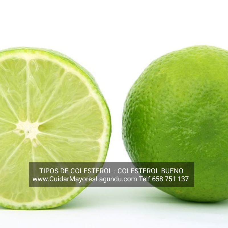 Tipos De Colesterol Colesterol Bueno